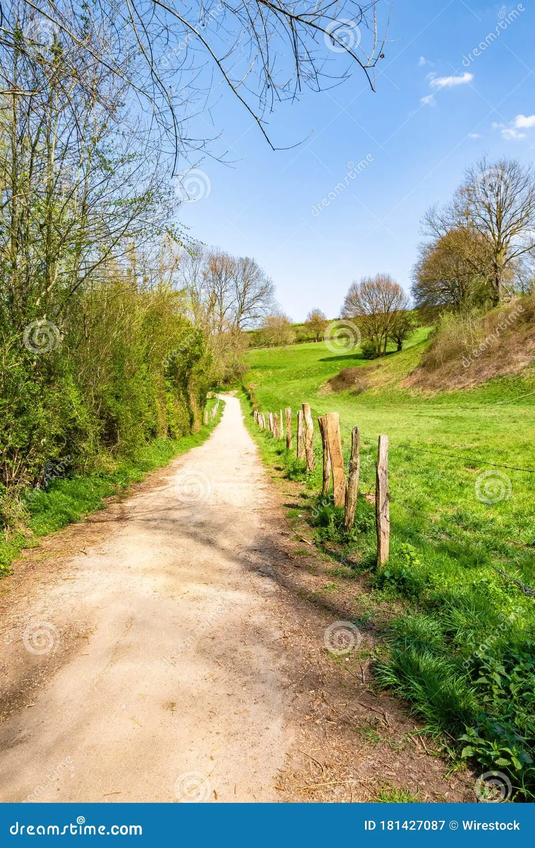 طراحی پلان برای زمین باریک